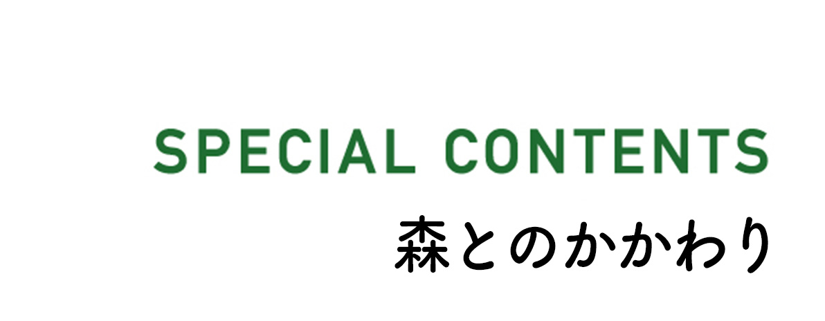 森とのかかわり